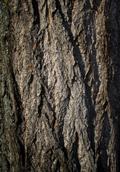 Similar image 941823