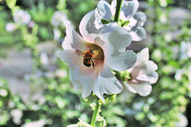 Similar image 942192