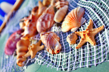 Similar image 942201