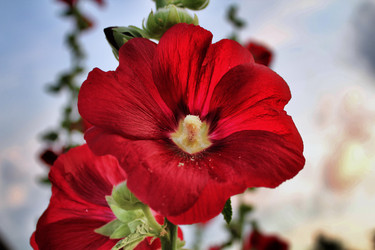 Similar image 942221