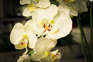 Similar image 942226