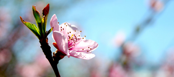 Similar image 942228