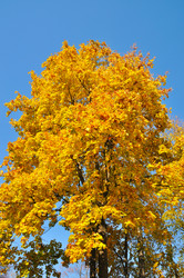 Similar image 942283