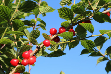 Similar image 942351