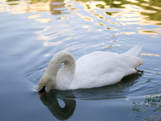 Similar image 942477