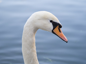 Similar image 942479