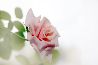 Similar image 942595