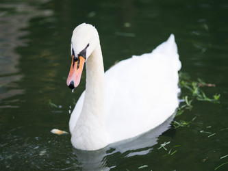 Similar image 942649