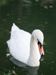 Similar image 942652