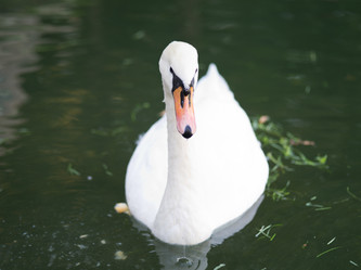 Similar image 942653