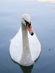 Similar image 942656