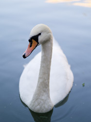 Similar image 942657