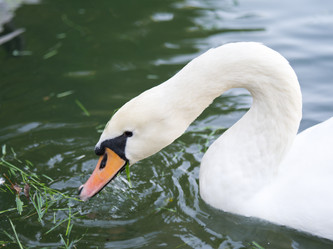 Similar image 942658