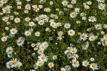 Similar image 942659