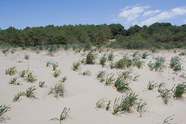 Similar image 942738