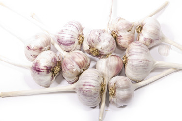 Similar image 942986