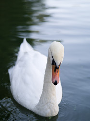 Similar image 943003