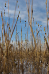 Similar image 943087