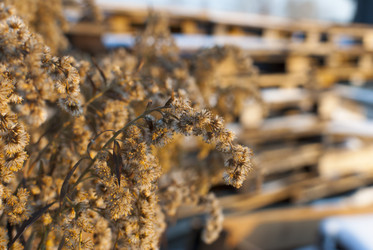 Similar image 943091