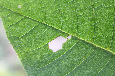 Similar image 943134