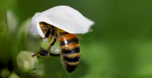 Similar image 943147