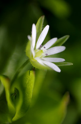 Similar image 943149