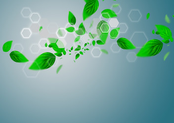 Similar image 943202