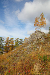 Similar image 943262