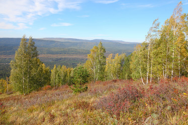 Similar image 943265