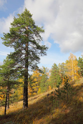 Similar image 943268