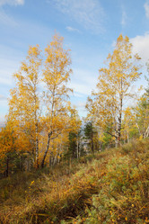 Similar image 943269