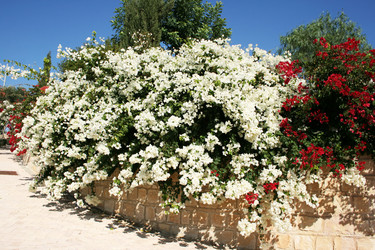 Similar image 943284