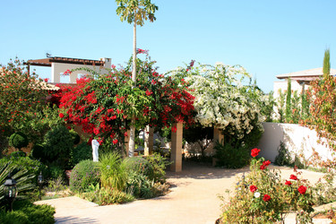 Similar image 943290