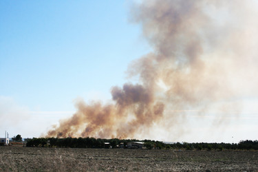 Similar image 943330