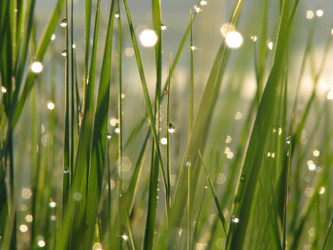 Similar image 943339