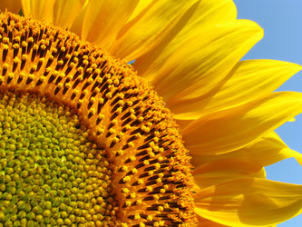 Similar image 943344