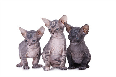 Similar image 943349