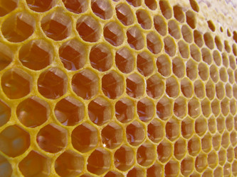 Similar image 943350