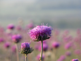 Similar image 943352