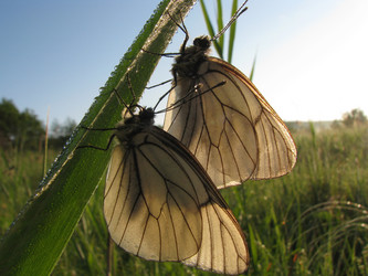 Similar image 943357