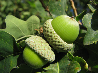 Similar image 943404