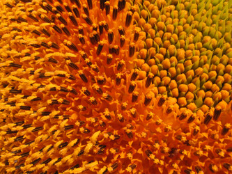 Similar image 943409