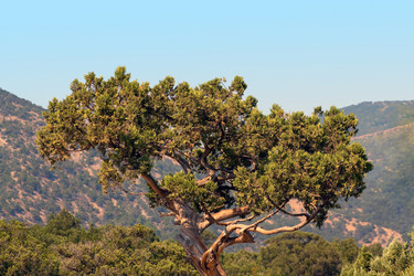 Similar image 943570