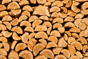 Similar image 943634