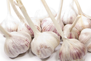 Similar image 943793