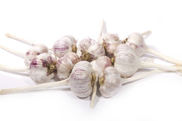 Similar image 943796