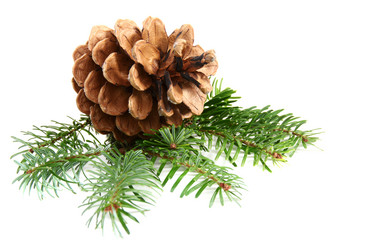 Similar image 943846