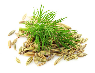 Similar image 944150