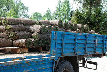 Similar image 944206