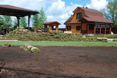 Similar image 944305